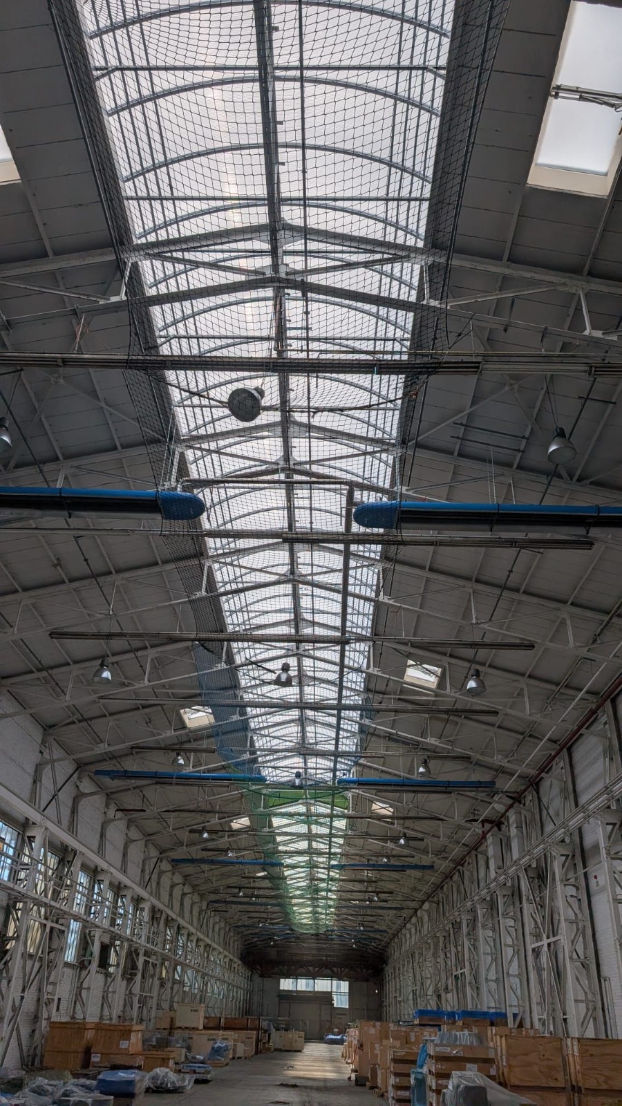 Tageslicht Projektbild